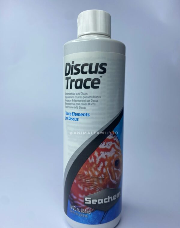 DISCUS TRACE SEACHEM