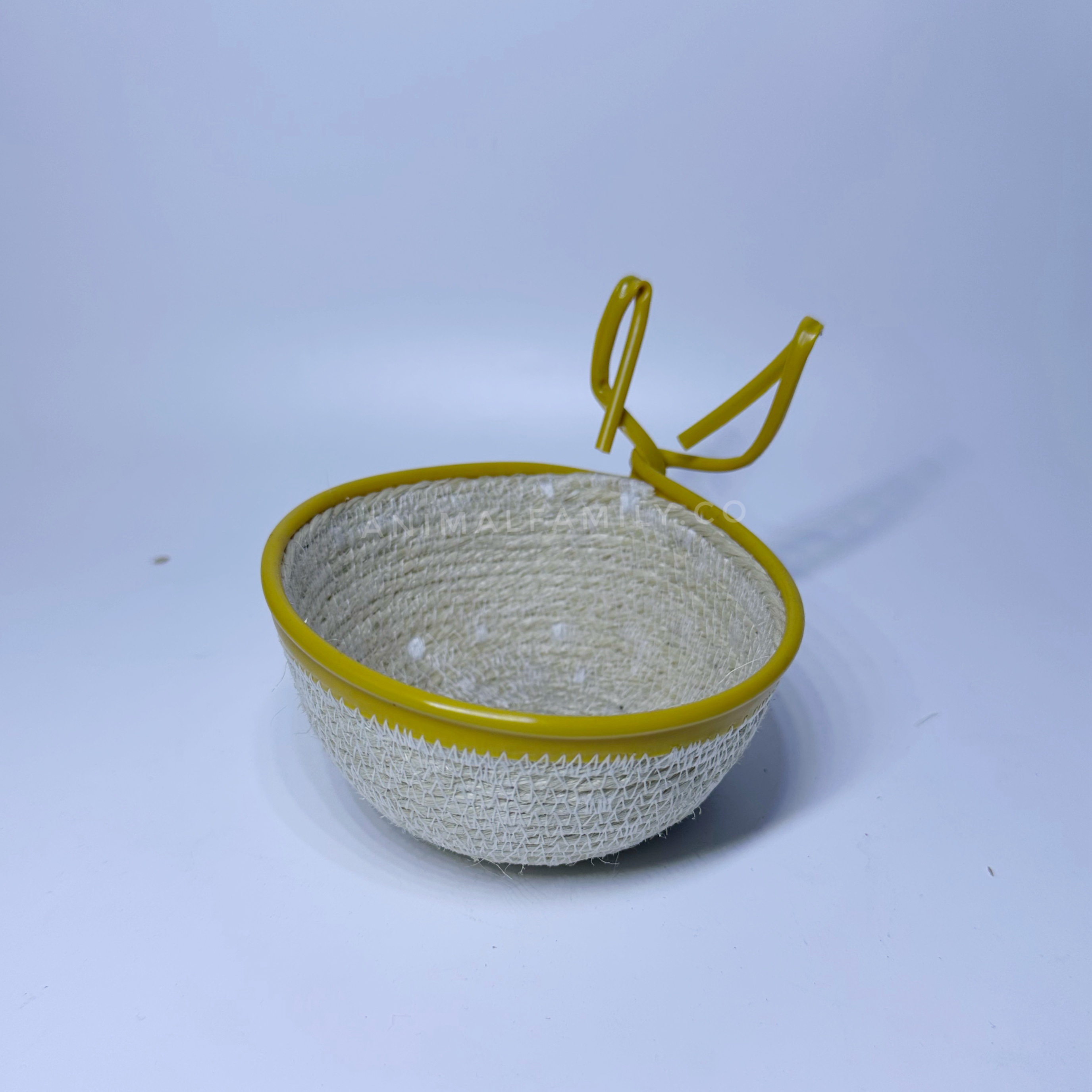 NIDO EN FIQUE CANARIOS