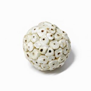 JUGUETE PELOTA COMESTIBLE