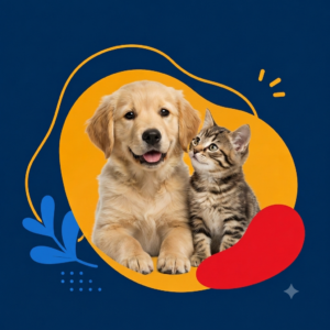 PERROS Y GATOS